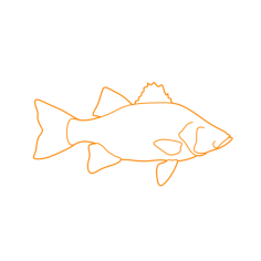 Animals Freshwater Fish White Bass Craft Design Svg File, Free Vectors File
